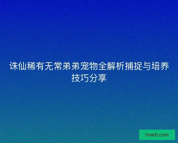 诛仙稀有无常弟弟宠物全解析捕捉与培养技巧分享